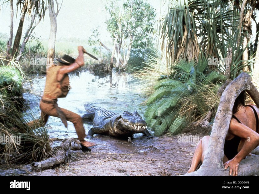 Linda Kozlovsky Crocodile Dundi