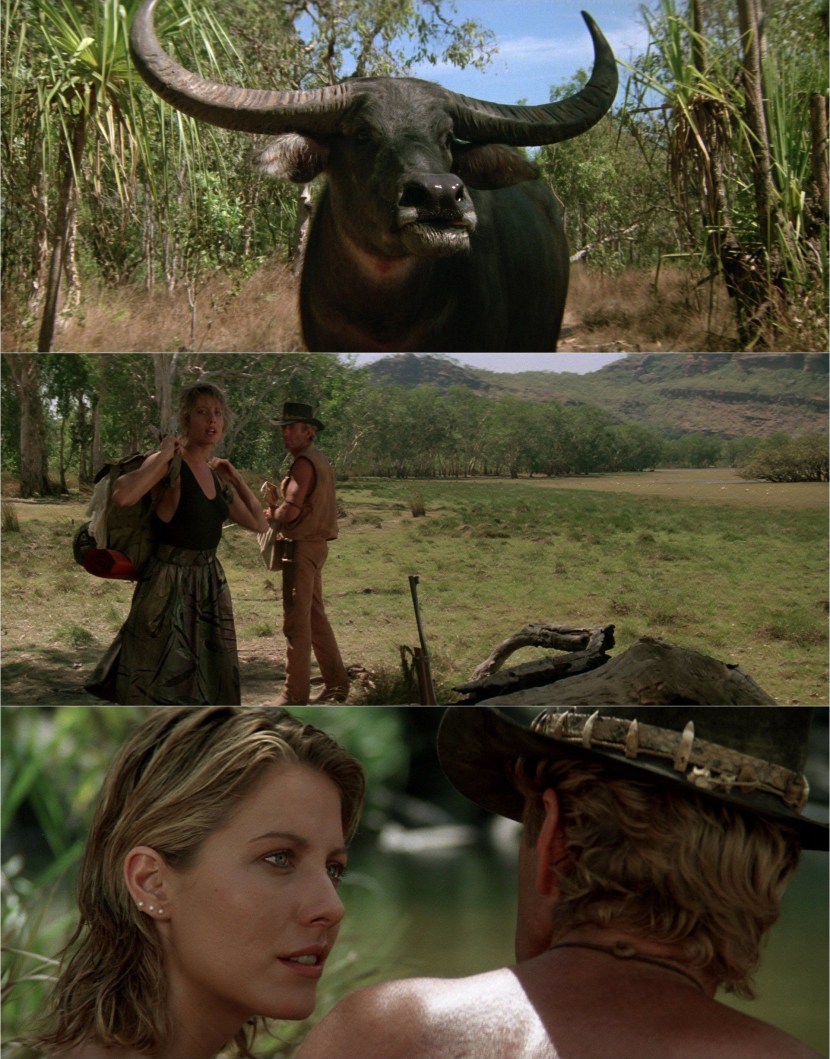 The film "Crocodile" Dundee II (1988) cover