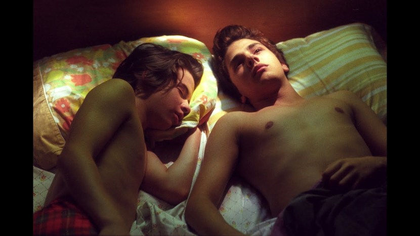 Johnny Catsville and Dogs