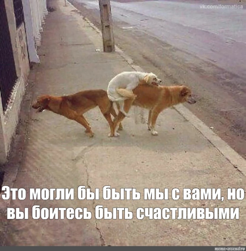 Emma Starletto Sister