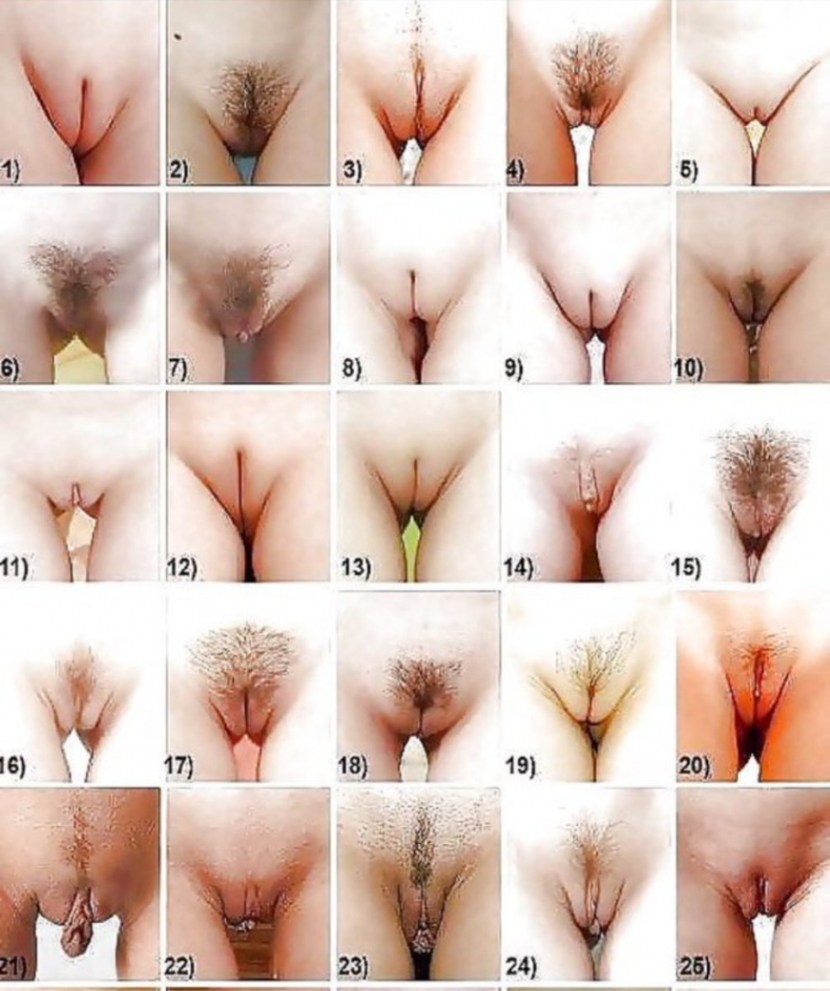 Different women's pussy