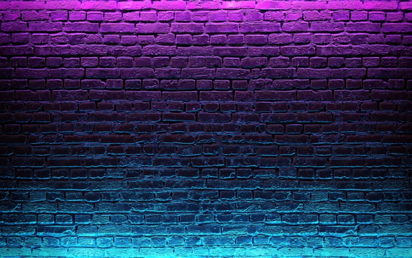 The brick wall of the neon