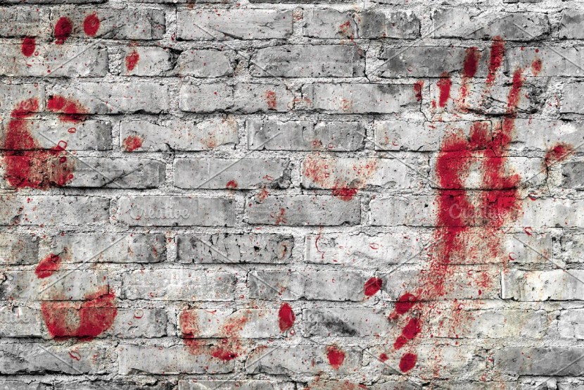 Big Brother 0.13.0.007 Ann