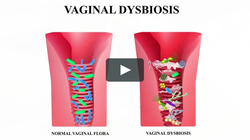 Prevention of vaginal dysbiosis