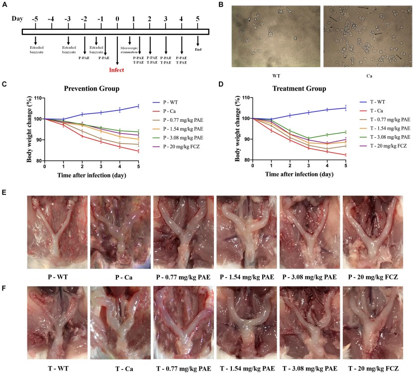 Isabella Clark Proslaps