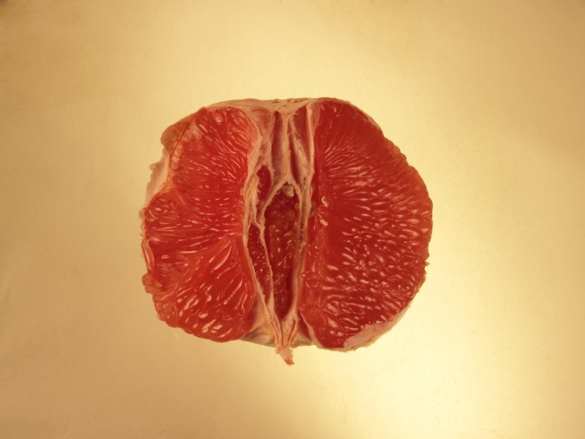 Microorganisms living on the vagina