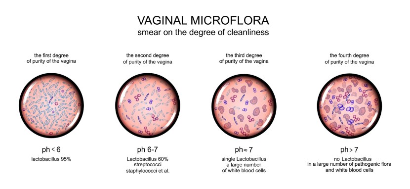 Vaginal Microbiota in Pregnancy