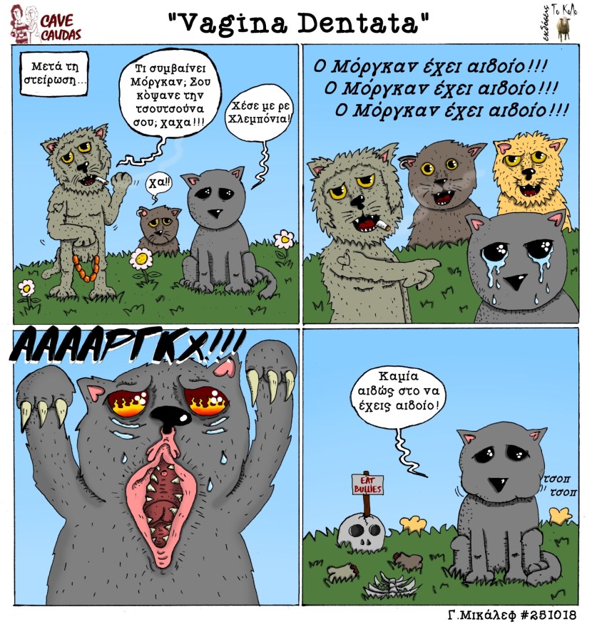 What does an inflamed vagina look like