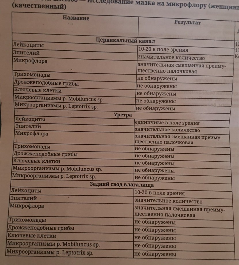 A set of vagina expanders