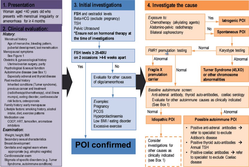 Thick woman in front