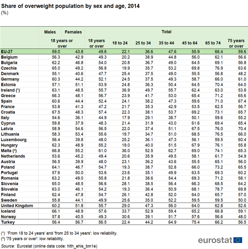 My Body Plan weight loss