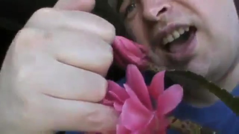 Catherine King Naked