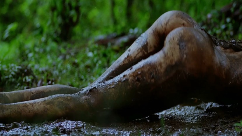 Malika Sheravat Temptation