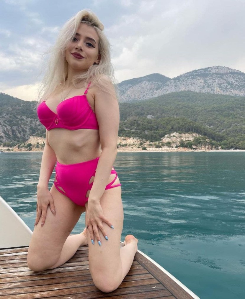 Light Sollar hot plums Solar