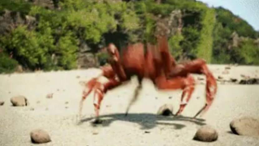Crab rave gif