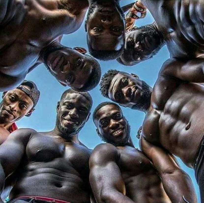 Gorilla throws another gorilla