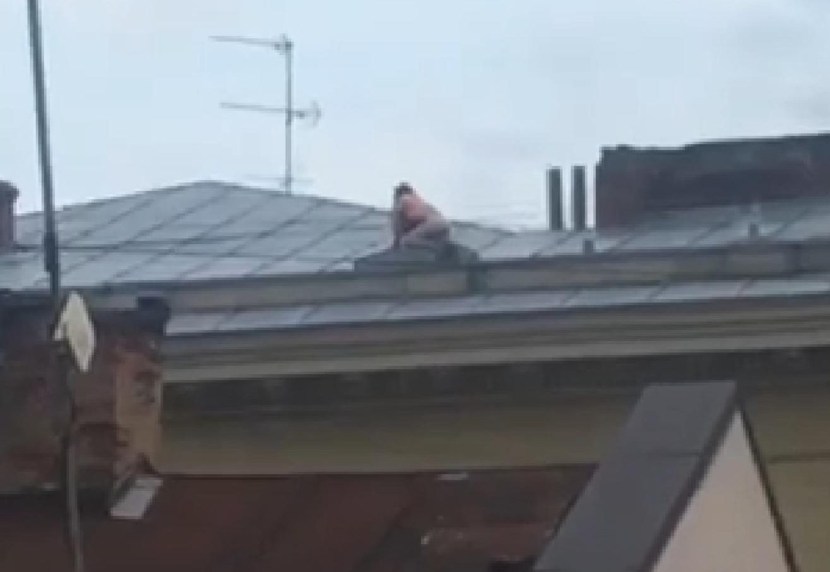 In Krisha will scrap the power