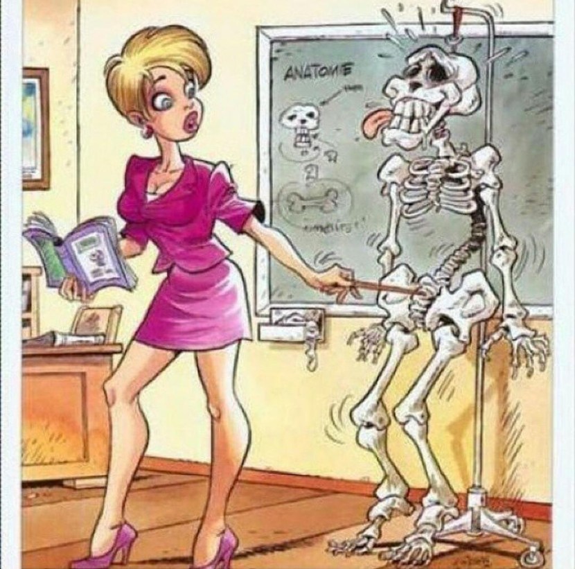 Caricatures for women are funny