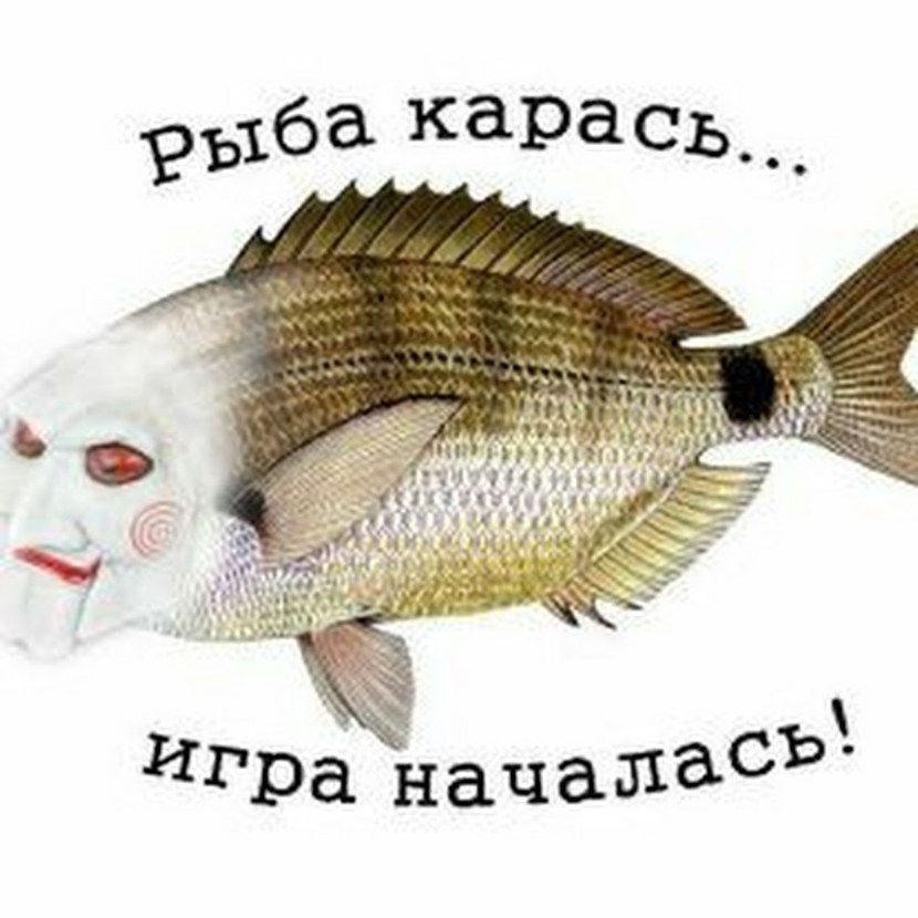 Textbook of decent fish buy