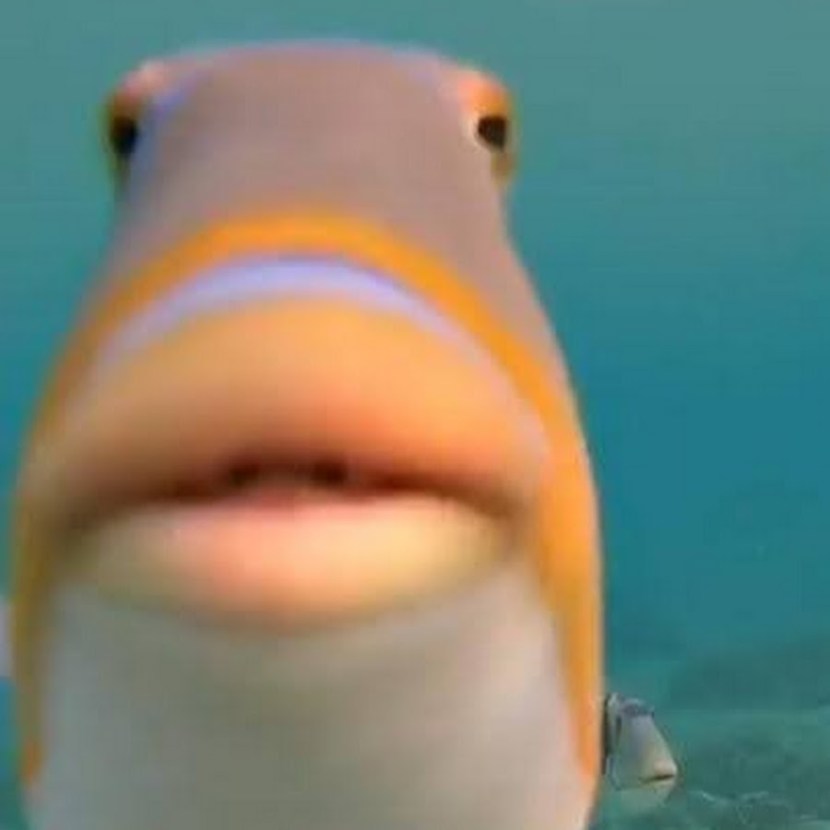 Aquarium fish telescope stargazer