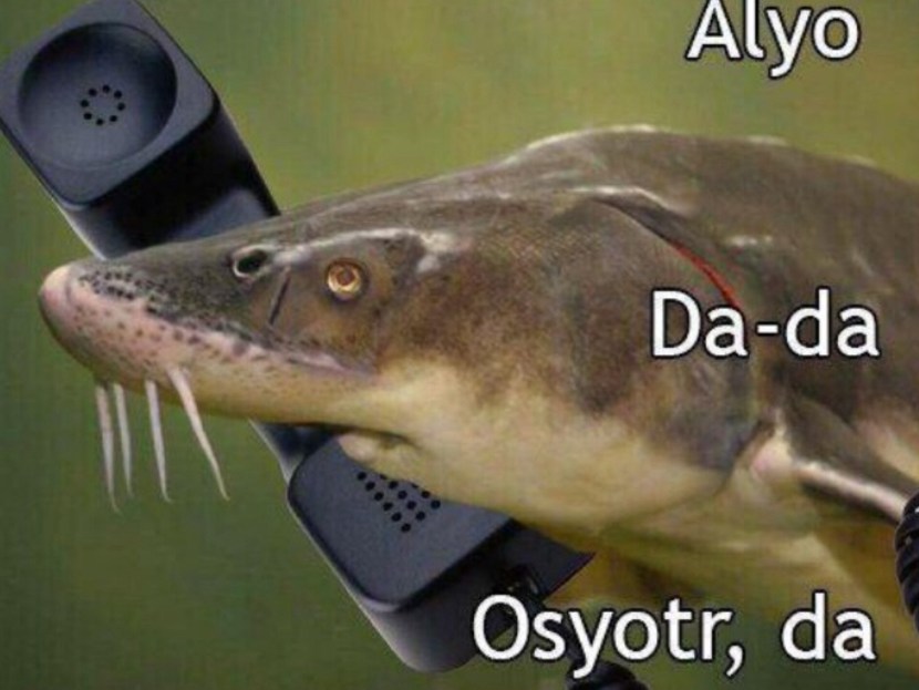 Photoshoot with a fish