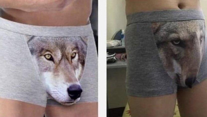 Panties with a wolf expectation and reality
