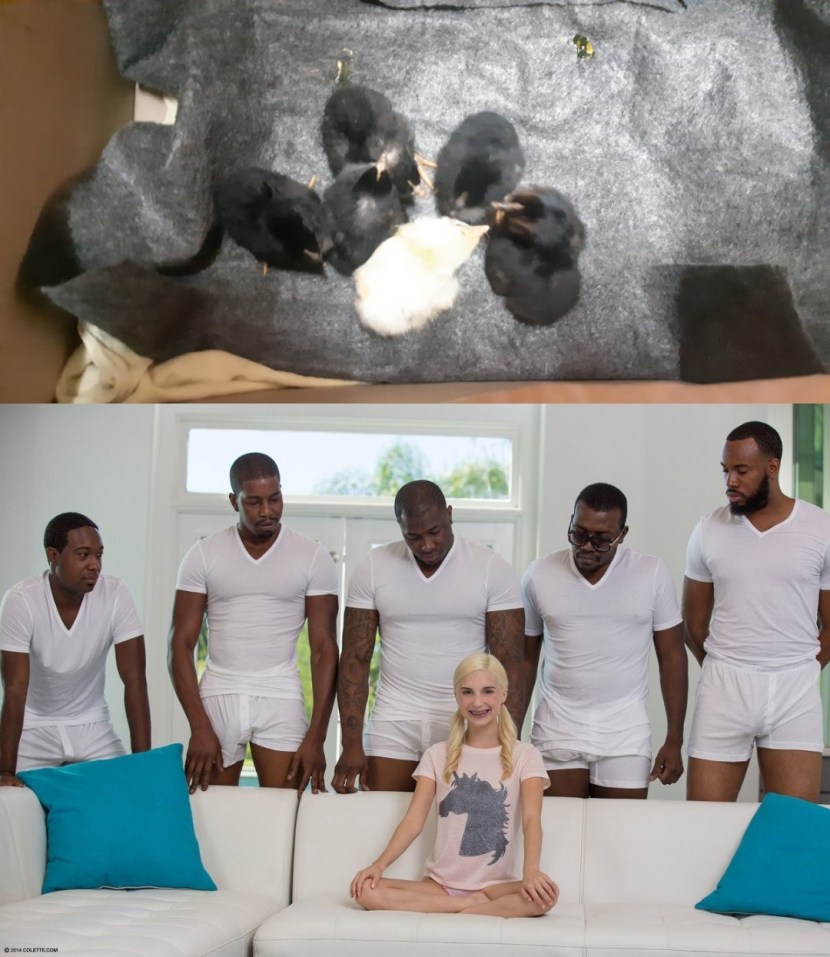 Put the girl on his knees