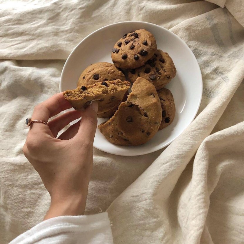 Cookie with chocolate aesthetics