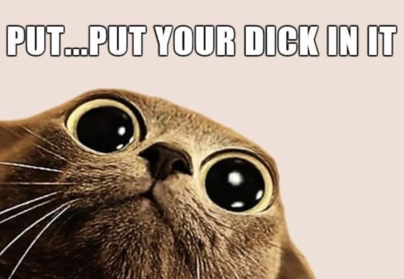 Put your dick