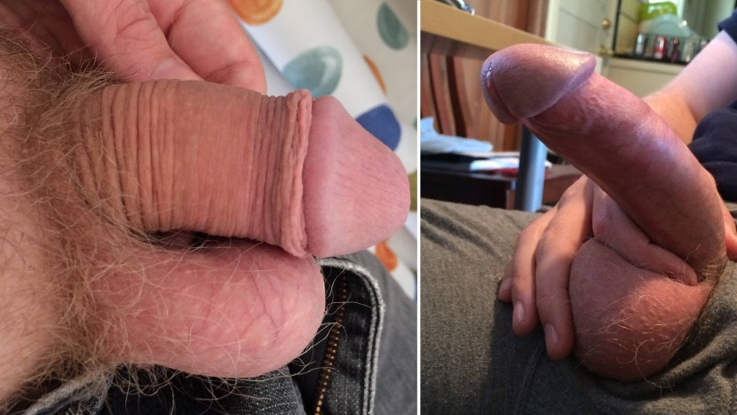 Male penis without erection