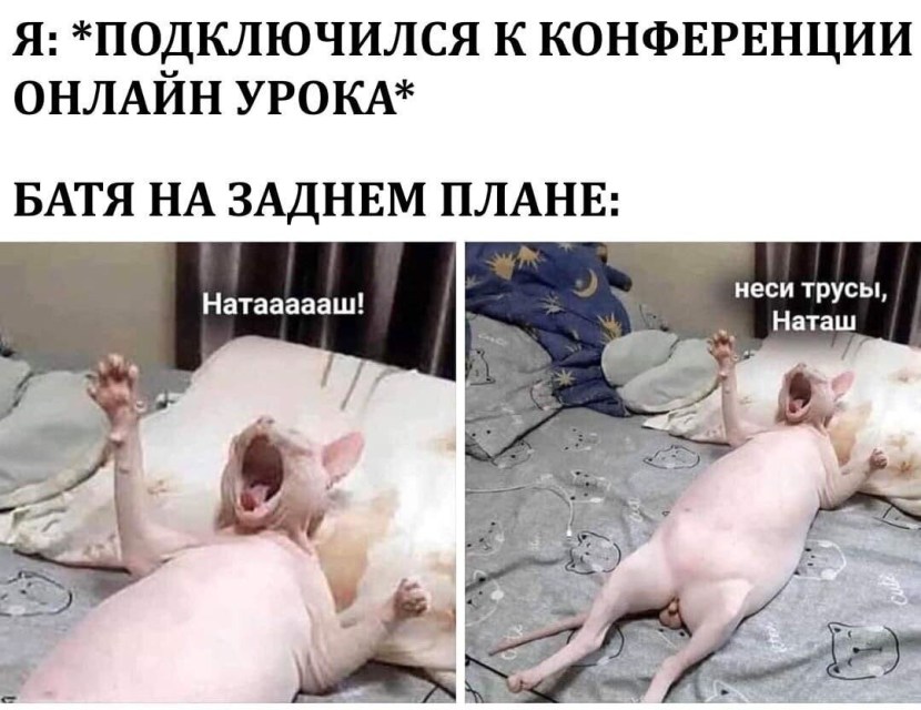 T -shirt named Julia