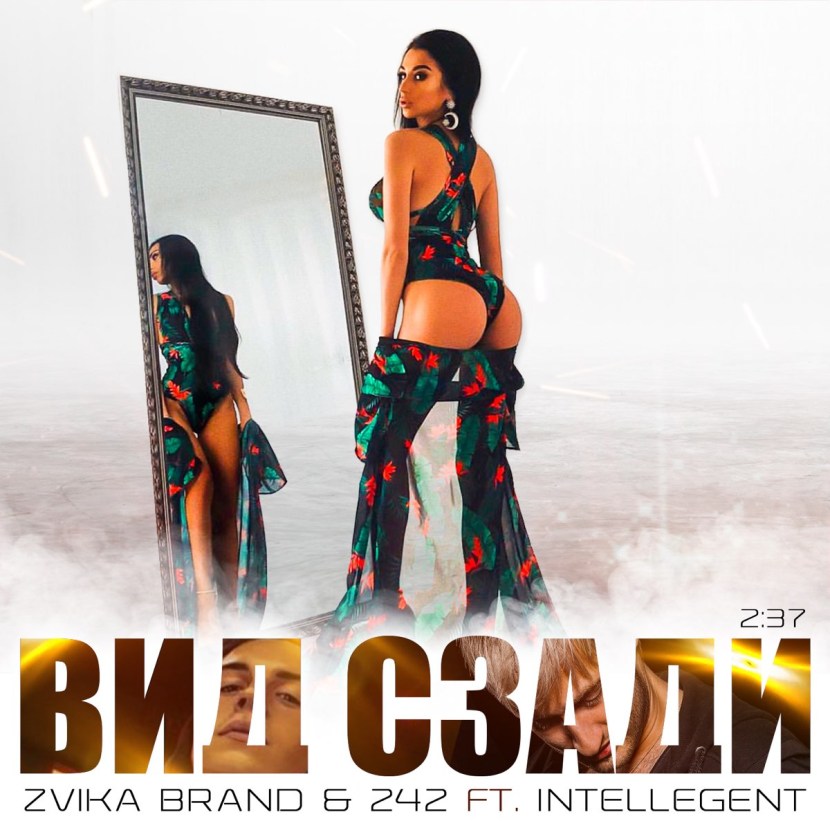 Zvika Brand 242 Intelligent