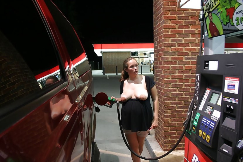 Elena Cat Dorcel Airlines - Independ Flight Attendants