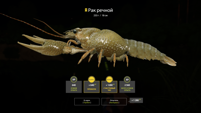 River racer for fishing