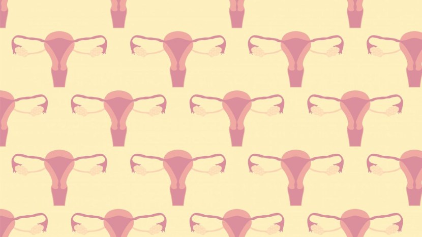 Templates for styrophoming