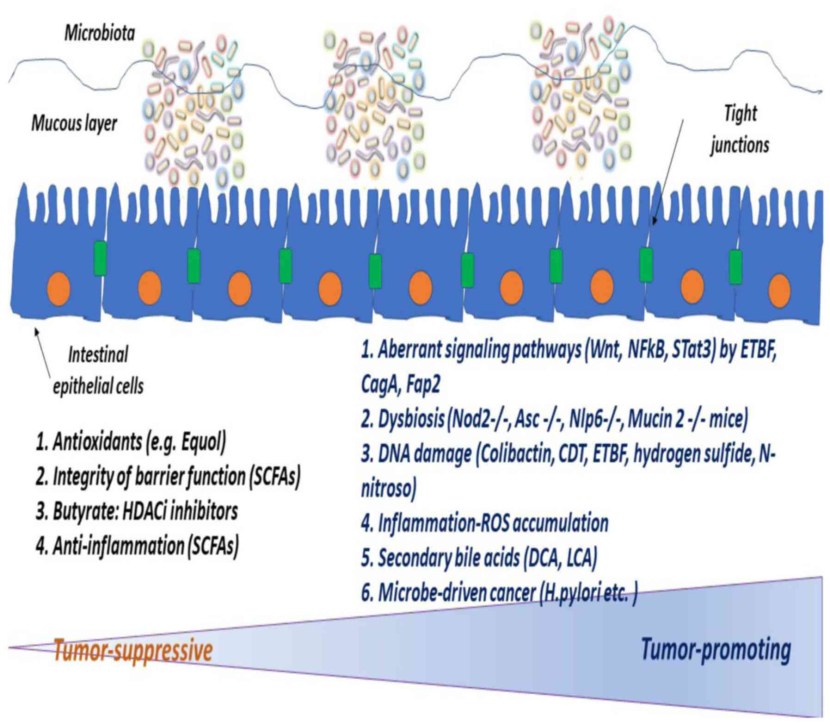 Skins on YuSP in Standoff 2