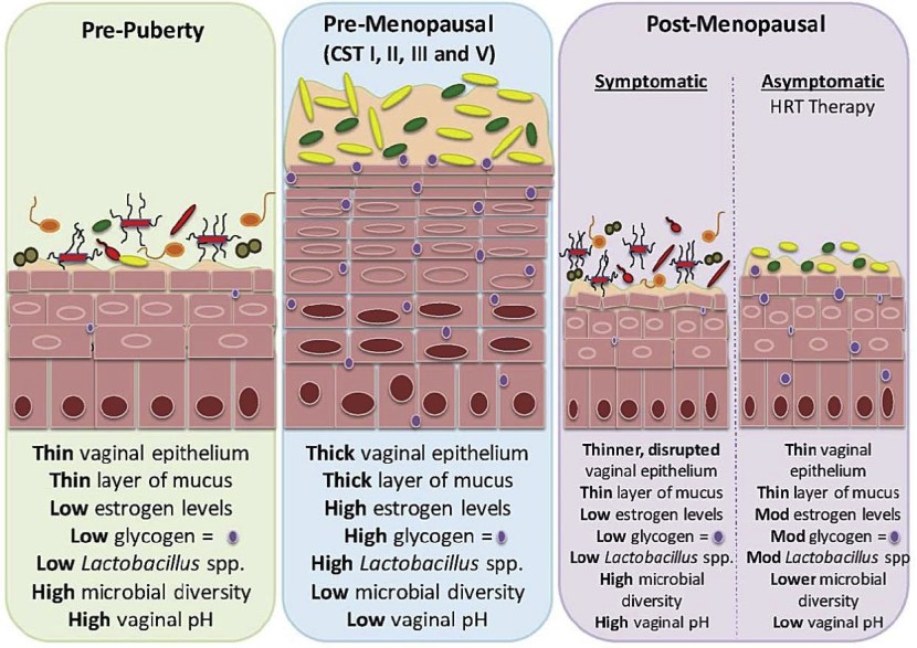 Age and microbials of the vagina