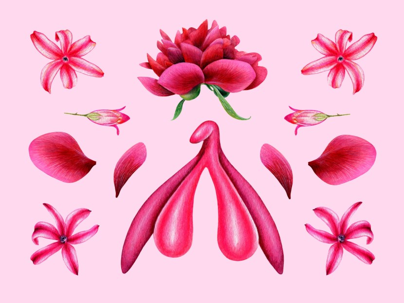 Cliter structure 3 d model