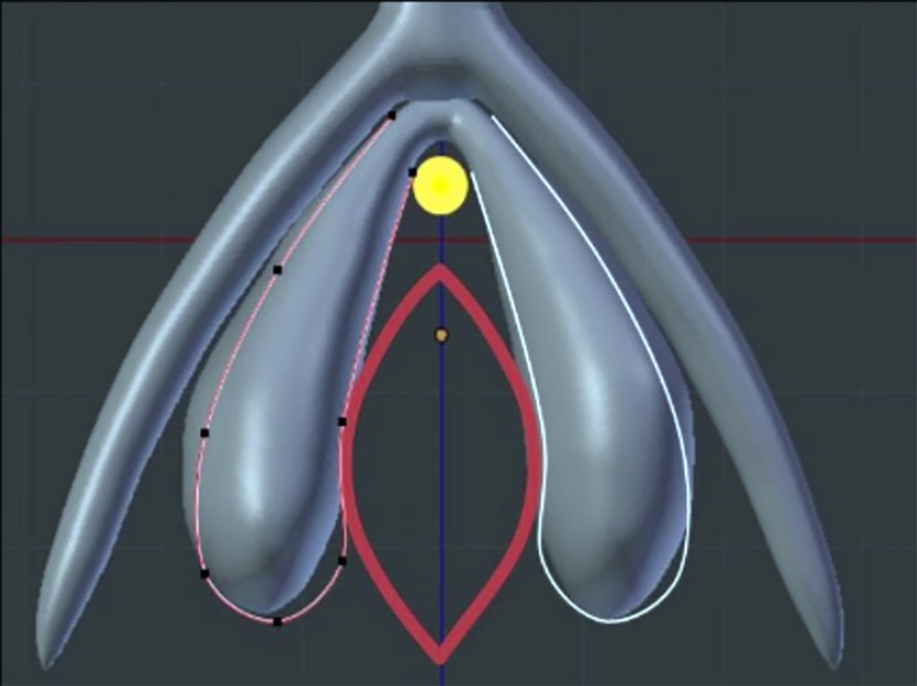 White background minimalism