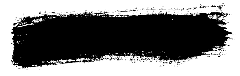 Three -dimensional clitoris model