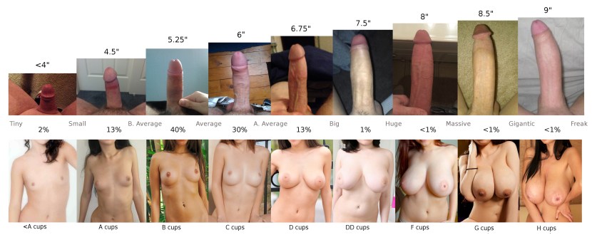 Comparison of members of different sizes