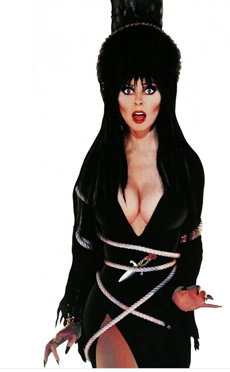 Witch Elvira Lord of Darkness