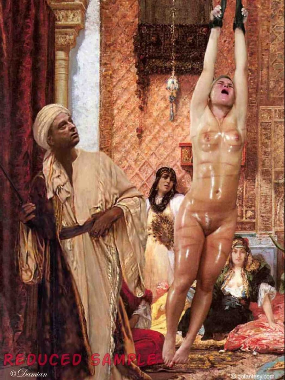 The Naked Women of the Harem Have Seen (72 photos) - porn ddeva
