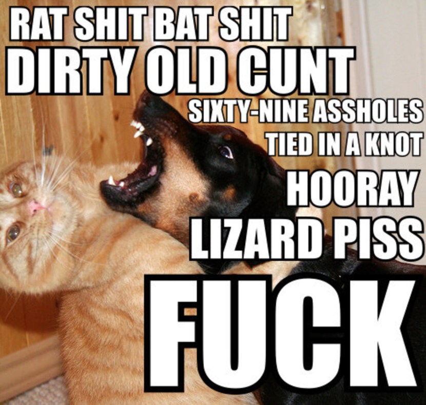 Batshit Batshit Bullshit