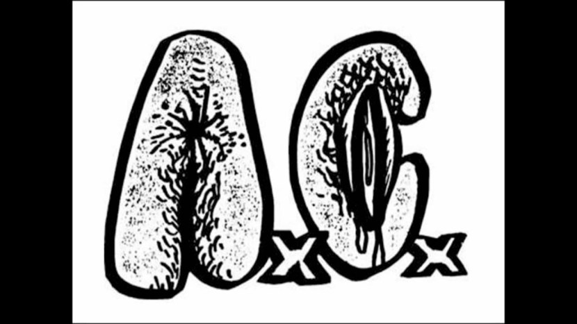 Anal Cunt Music group