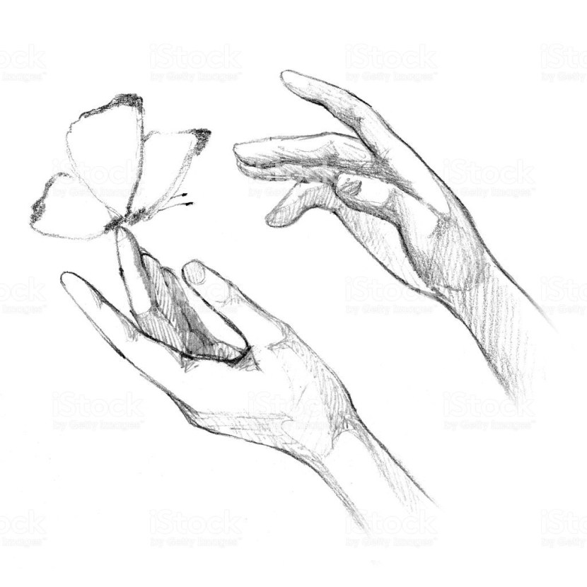 Hand holds a sketch flower