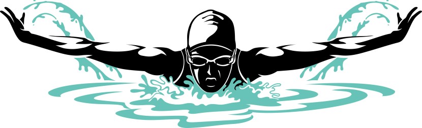 Swimmer butterfly silhouette vector