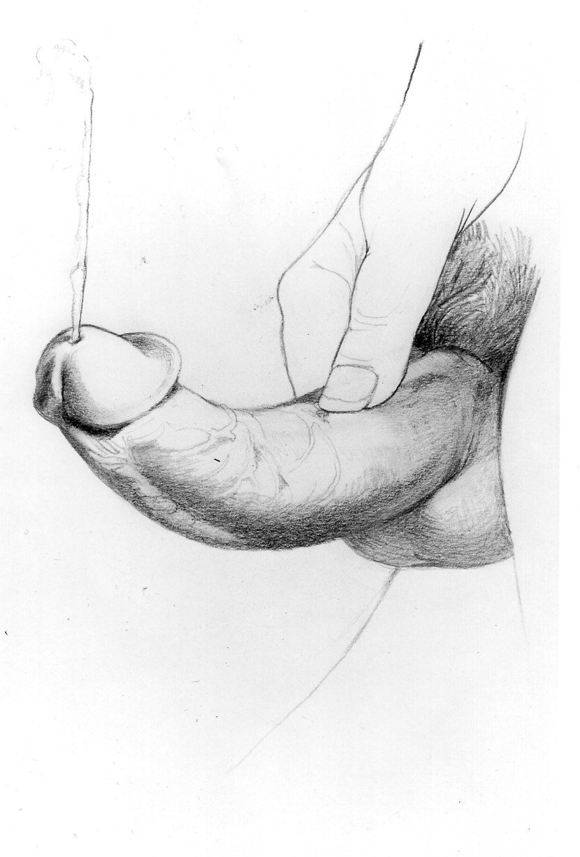 Hotel Hazbin Hentai Anal