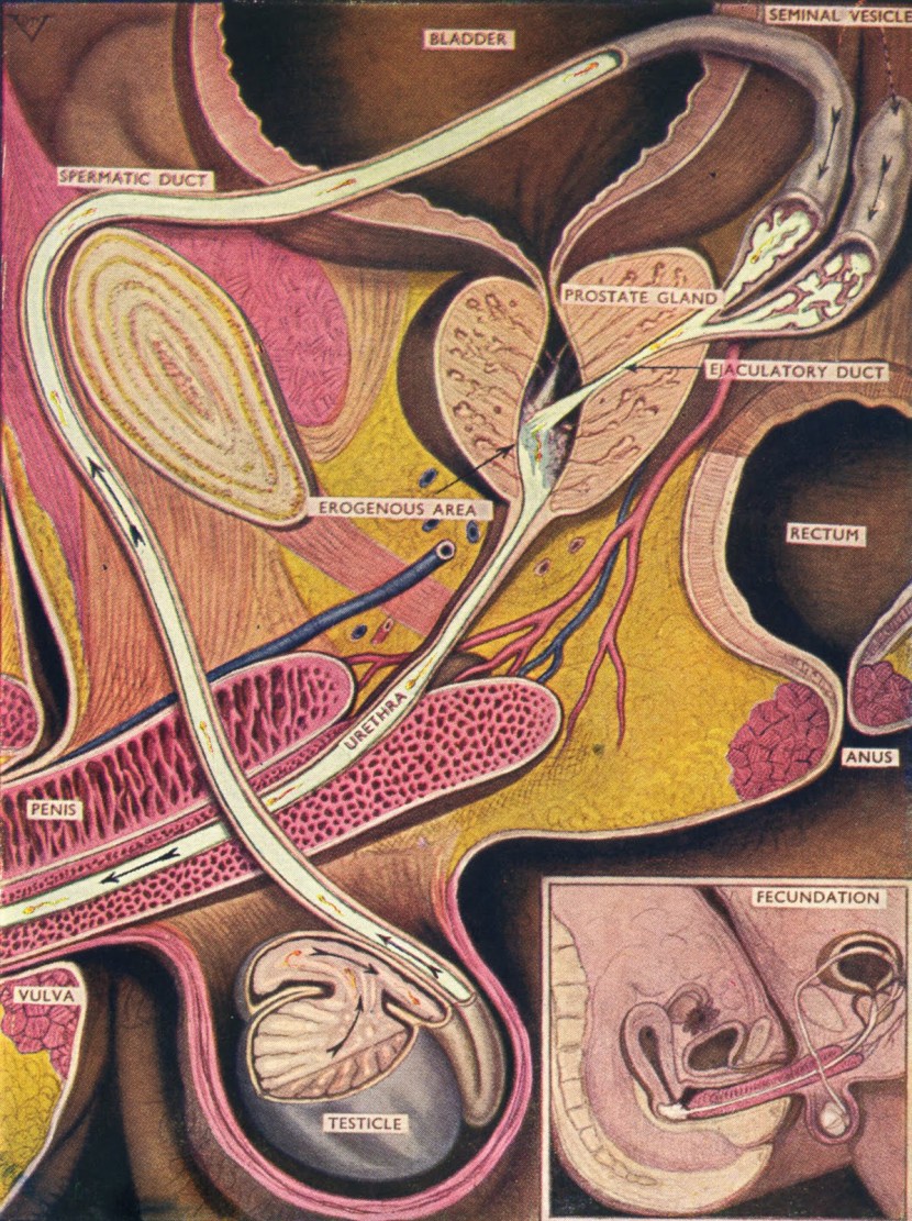 Road signs in English with can t ?i can