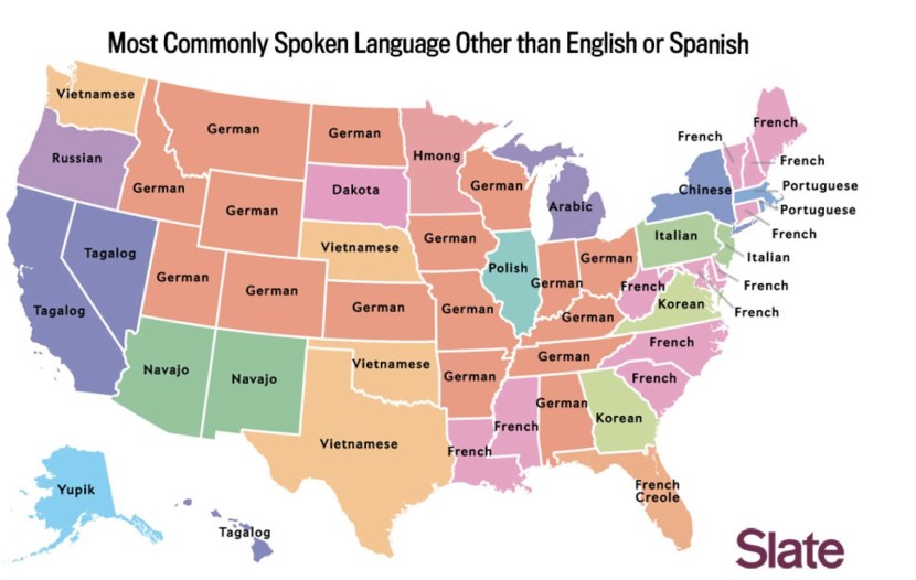 Johnny Sins Cosmonaut Mem